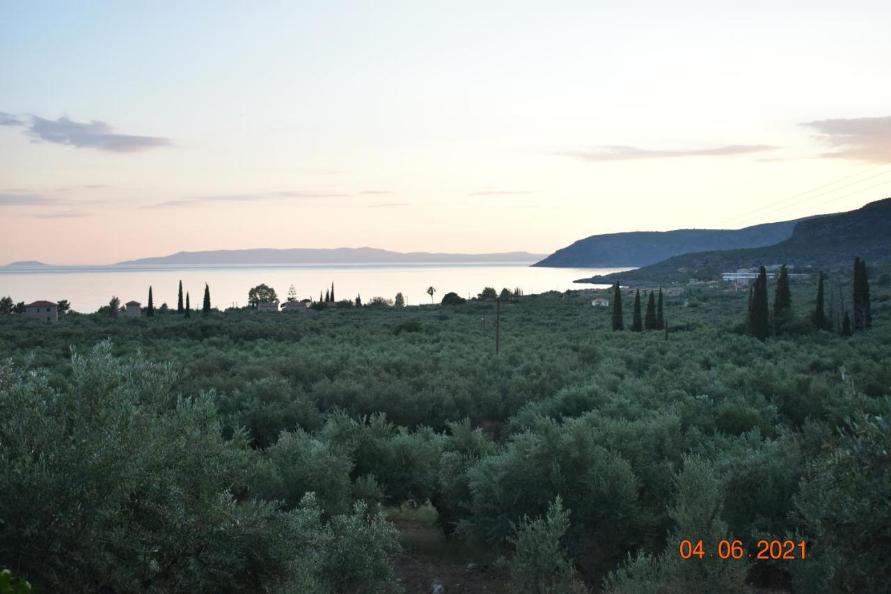 Ouranias Studios Kardamyli Exterior foto